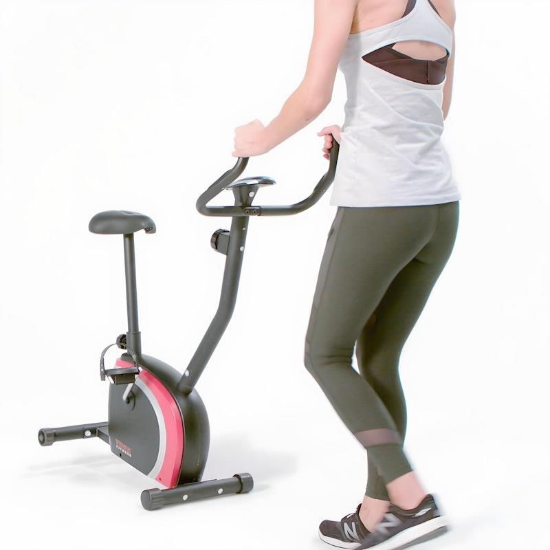 Load image into Gallery viewer, York Performance Upright Bike One Size
