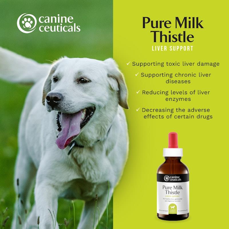 Load image into Gallery viewer, CanineCeuticals Pure Milk Thistle 100ml
