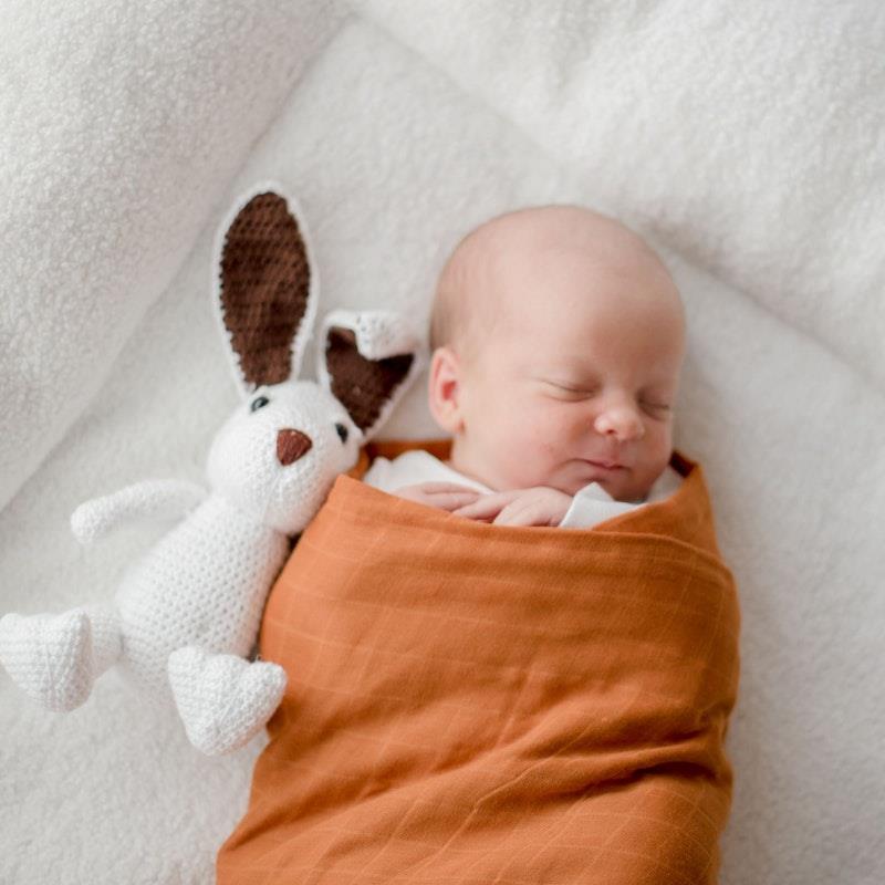 Load image into Gallery viewer, Zoe Sage Organic Muslin Swaddle Wrap Savannah Rust 1pc
