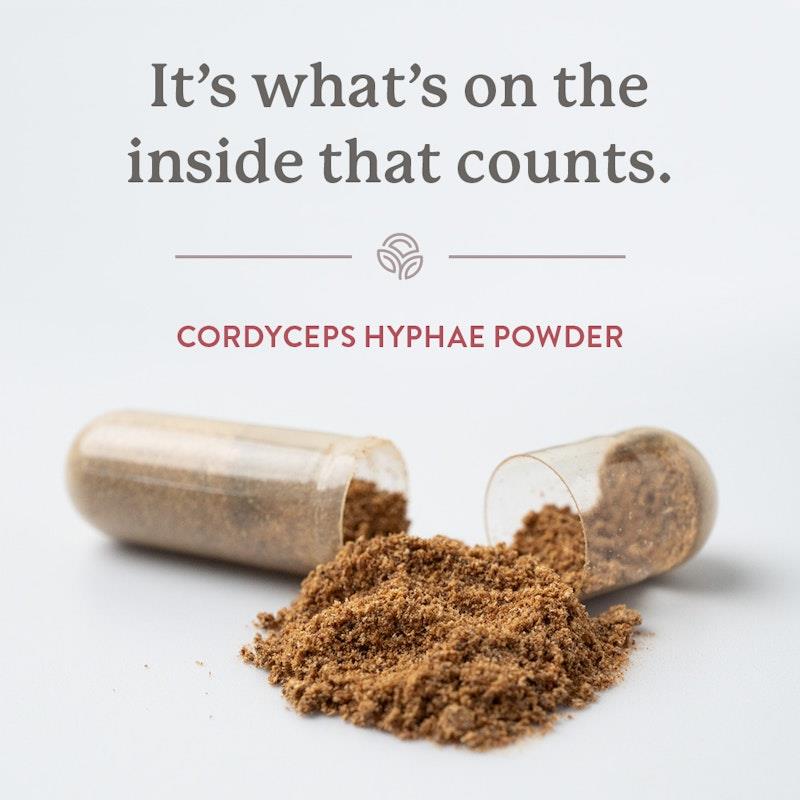 Load image into Gallery viewer, Nature's Sunshine Cordyceps 90Capsules
