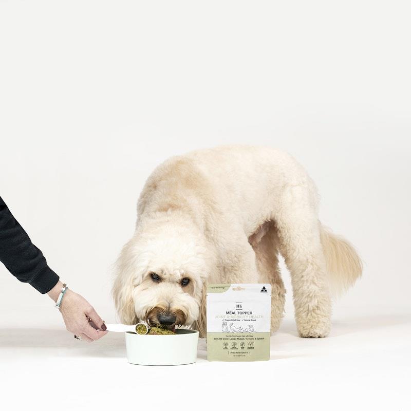 Load image into Gallery viewer, HOUNDZTOOTH Joint &amp; Mobility Health Raw Boost Meal Topper for Dogs 60g
