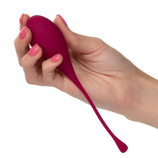 CalExotics Kegel Training 5-Piece Set Multi Colour