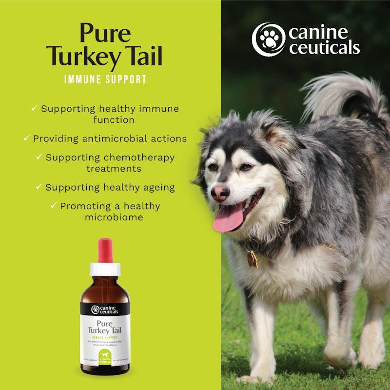 Load image into Gallery viewer, CanineCeuticals Pure Turkey Tail 100ml
