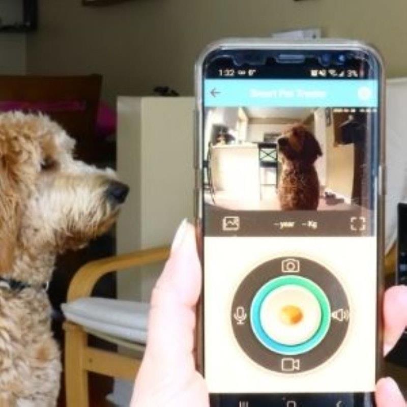 Load image into Gallery viewer, Lentek Smart Pet Treat Tosser with HD Camera 1Unit
