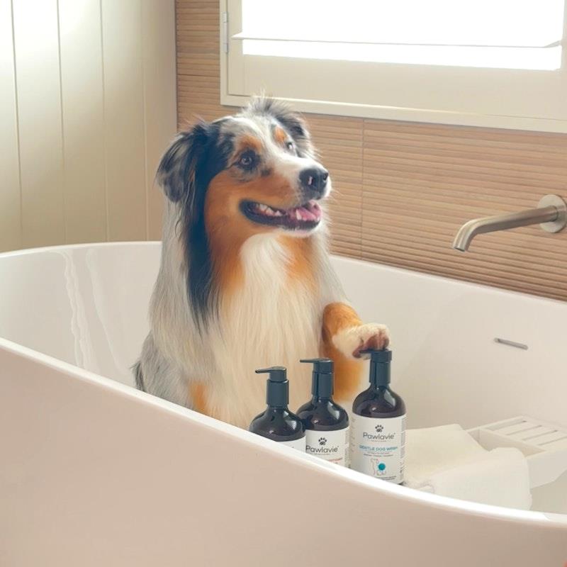 Load image into Gallery viewer, Pawlavie Gentle Dog Wash - For dogs of all coat types 500ml
