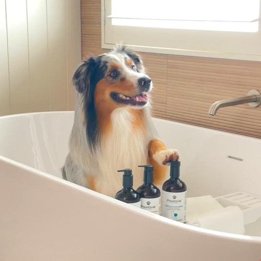 Pawlavie Gentle Dog Wash - For dogs of all coat types 500ml