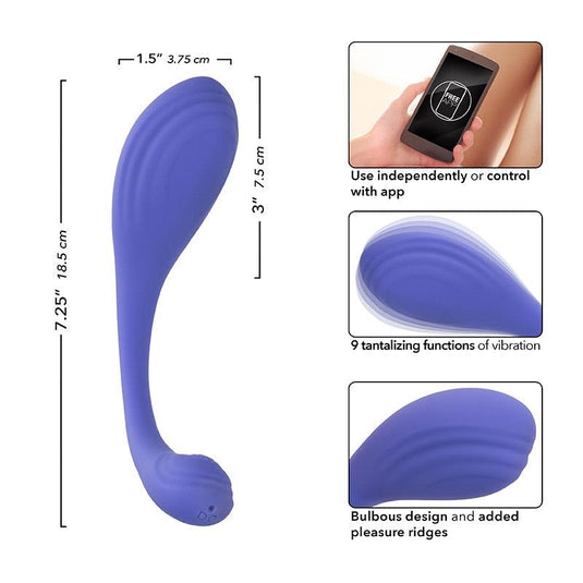 CalExotics Connect Kegel Exerciser Purple