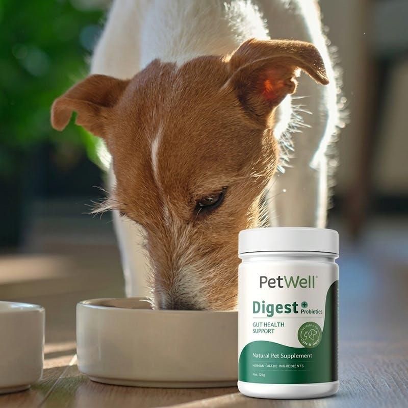 Load image into Gallery viewer, PetWell DIGEST – Gut Health for Cats and Dogs 125g
