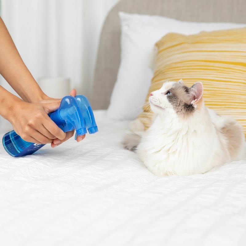 Load image into Gallery viewer, SWIFF For Pets Bottle + Refill Bundle Kit
