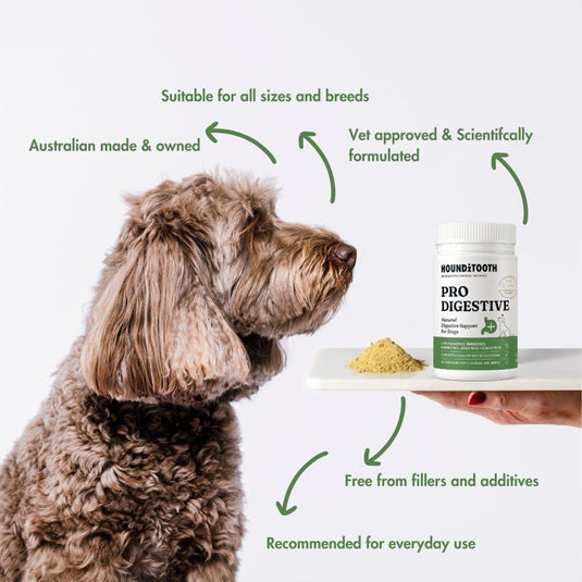 HOUNDZTOOTH Prodigestive Aid Health Supplement for Dogs 200g