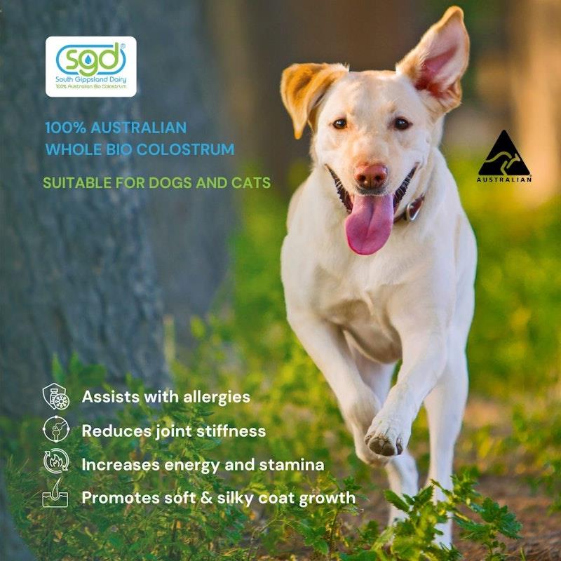 Load image into Gallery viewer, SGD Low Lactose Chewable Colostrum Tablets 110mg IgG (Natural Vanilla) 60 Tablets
