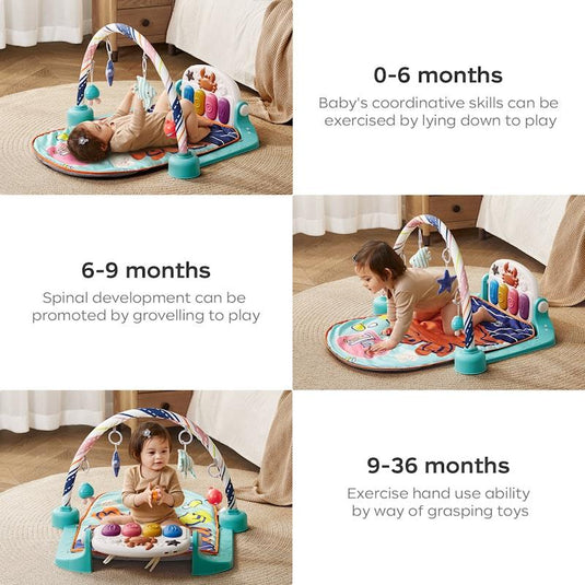 Bc Babycare Play Gym Crab Theme
