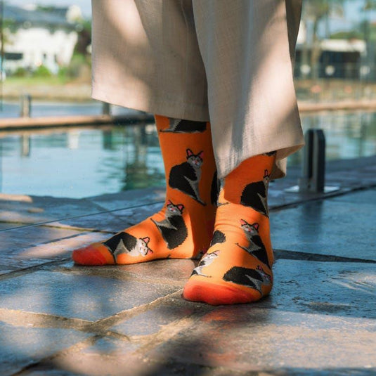 Sock Exchange 8 Pairs Fashion Novelty Funny  Socks one Size 5-13 Bundle
