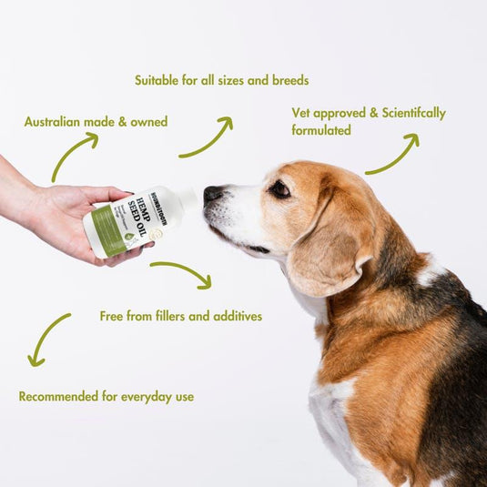 HOUNDZTOOTH Hemp Seed Oil for Dogs 250ml