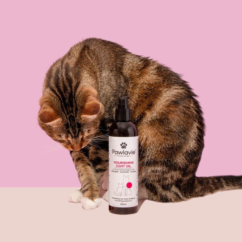 Load image into Gallery viewer, Pawlavie Nourishing Coat Oil - For long-haired dogs &amp; cats 225ml
