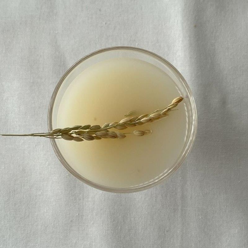 Load image into Gallery viewer, Beauty of Joseon Glow Replenishing Rice Milk 150ml
