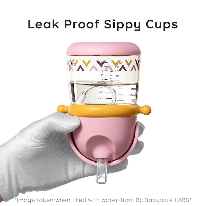 Load image into Gallery viewer, Bc Babycare T-REX TOBY Weighted Straw Sippy Cup 300ml (with Strap) Rose
