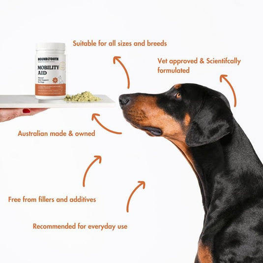 HOUNDZTOOTH Hemp Mobility Aid Health Supplement for Dogs 200g