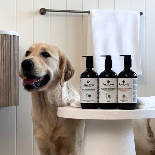Pawlavie Gentle Dog Wash - For dogs of all coat types 500ml