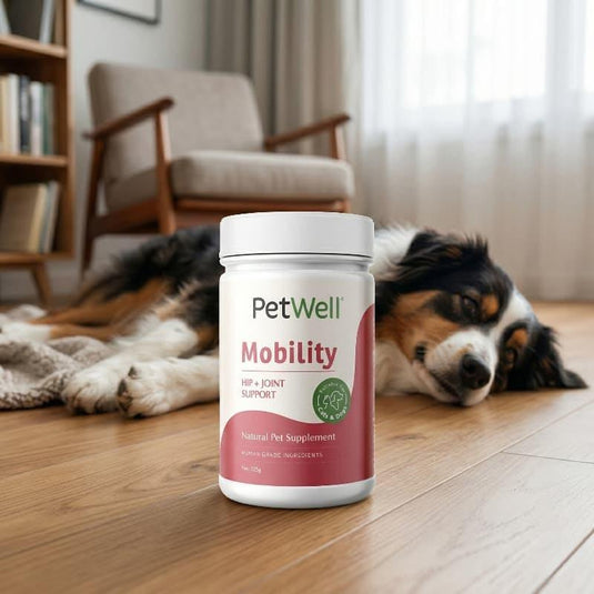 PetWell MOBILITY - Natural Joint Supplement for Dogs and Cats 125g
