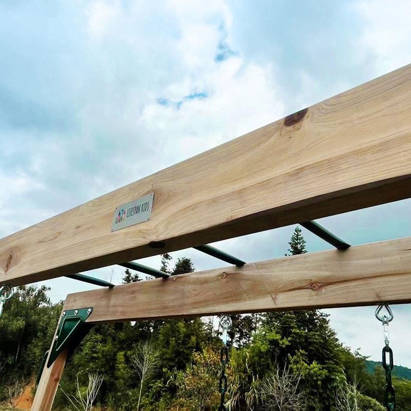 Load image into Gallery viewer, Lifespan Kids Daintree 2-in-1 Monkey Bars &amp; Swing Set One Size
