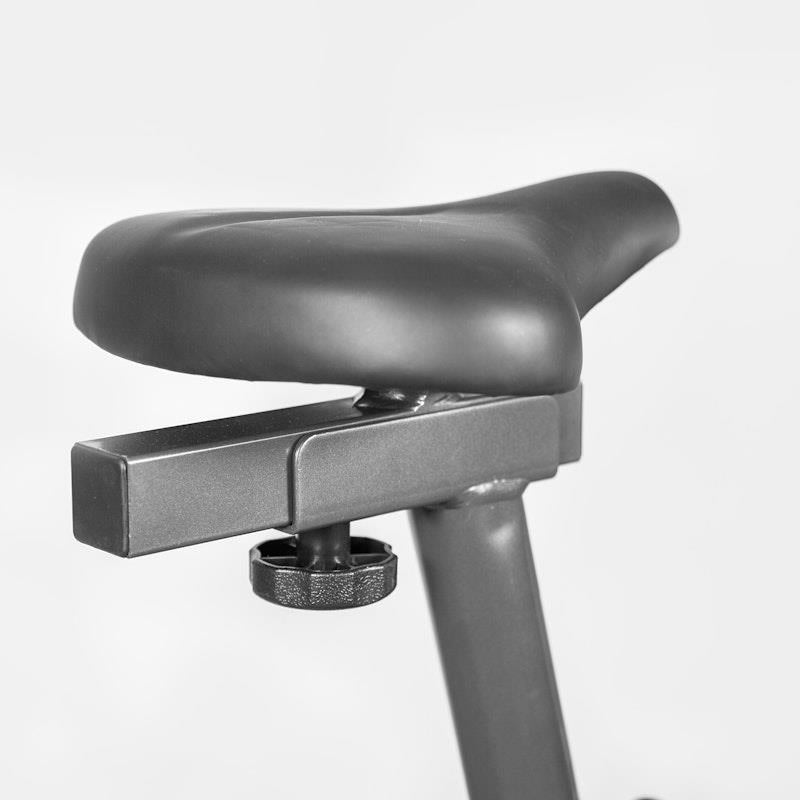 Load image into Gallery viewer, Lifespan Fitness EXER-58 Exercise Bike One Size
