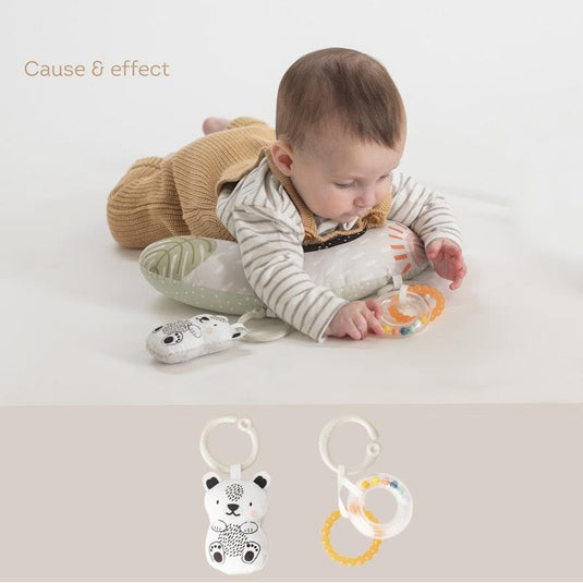 Taf Toys Newborn Develop& Play Kit