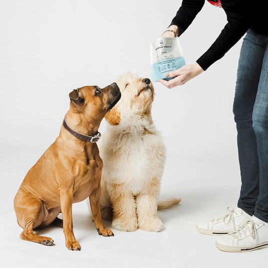 HOUNDZTOOTH Training Treats Ocean Trout 50g
