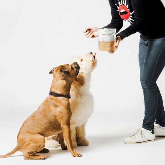 HOUNDZTOOTH Training Treats Chicken 50g