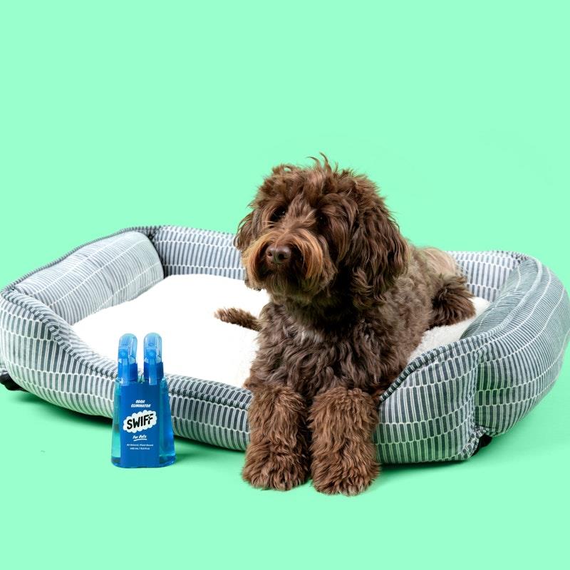 Load image into Gallery viewer, SWIFF For Pets Bottle + Refill Bundle Kit
