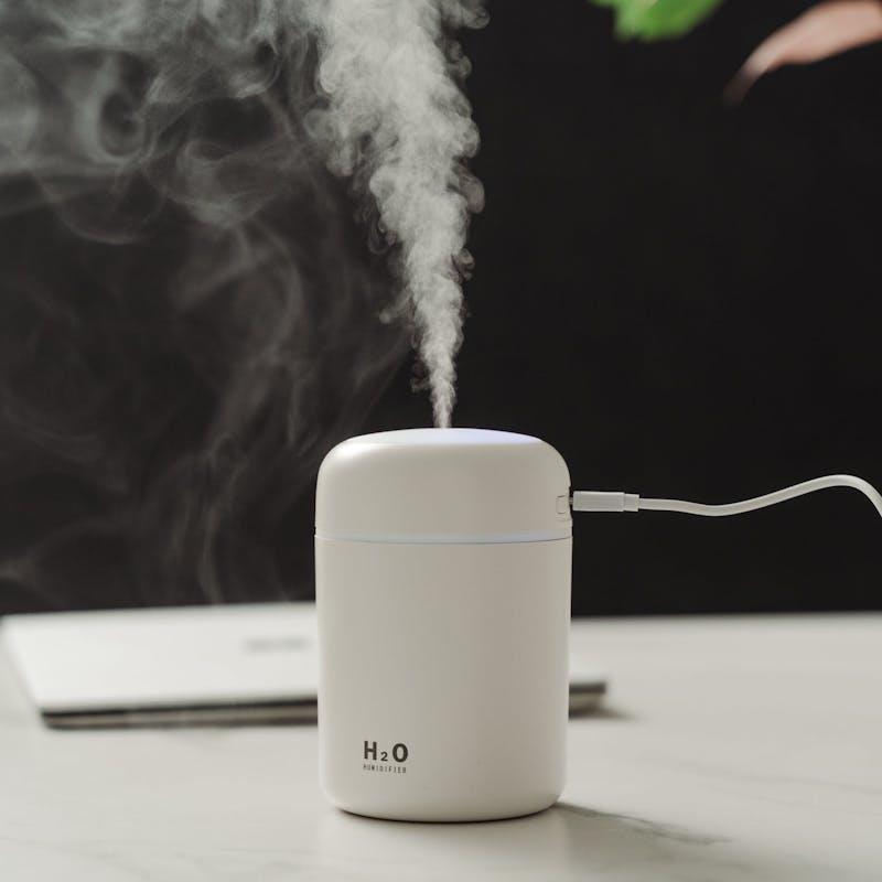 Load image into Gallery viewer, Living Today Mini LED Ultrasonic Humidifier 300ML 1Unit
