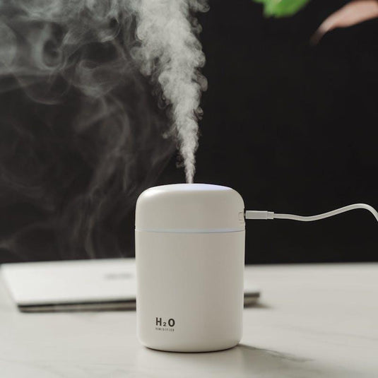 Living Today Mini LED Ultrasonic Humidifier 300ML 1Unit