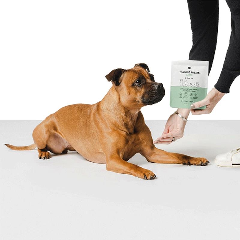 Load image into Gallery viewer, HOUNDZTOOTH Training Treats Lamb 50g
