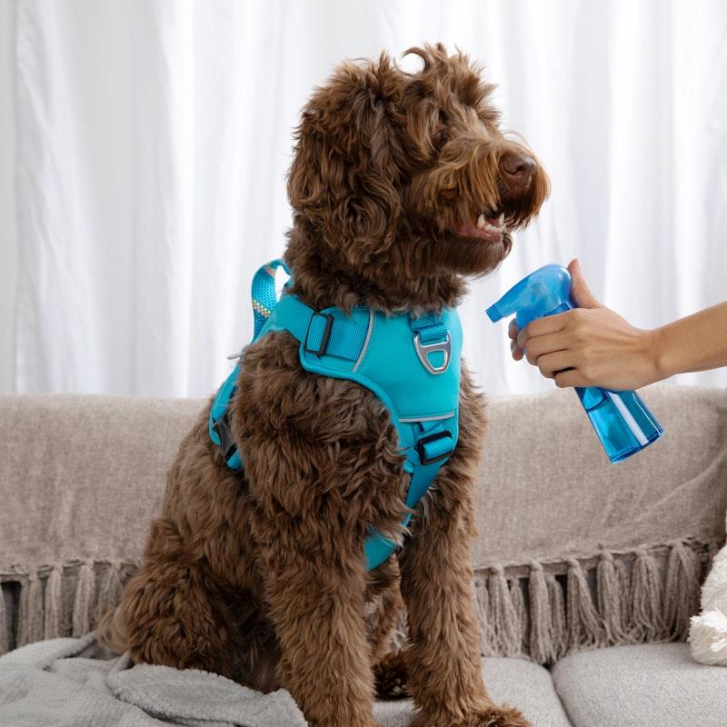 Load image into Gallery viewer, SWIFF For Pets Bottle + Refill Bundle Kit
