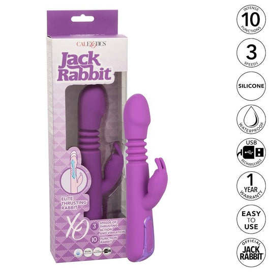 CalExotics Jack Rabbit Elite Thrusting Rabbit Purple