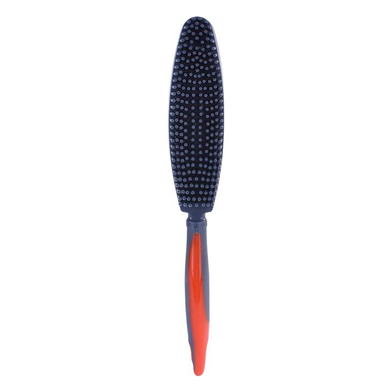 Load image into Gallery viewer, Living Today  Double Side Grooming AND Lint Brush 1Unit
