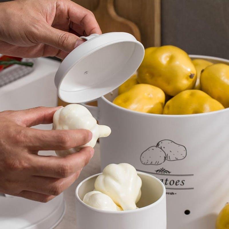 Load image into Gallery viewer, Clevinger 3 pcs Galvanised Iron Fruit Vegetable Storage Tins Bundle
