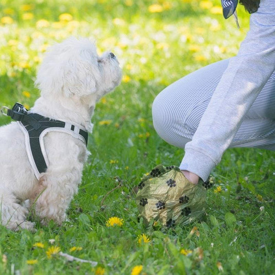 Living Today Pet Dog Poop Dispenser and 135 Biodegradable Unscented Waste Bags Bundle