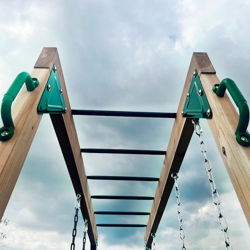 Load image into Gallery viewer, Lifespan Kids Daintree 2-in-1 Monkey Bars &amp; Swing Set One Size
