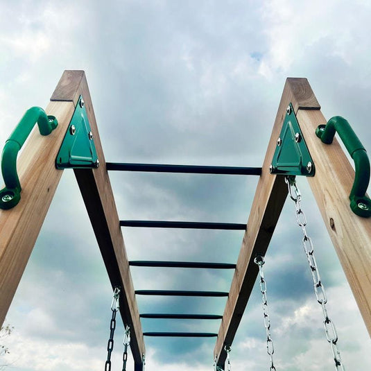 Lifespan Kids Daintree 2-in-1 Monkey Bars & Swing Set One Size