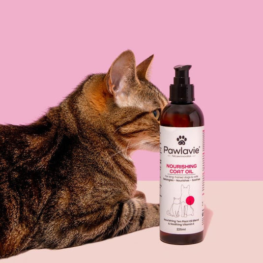 Pawlavie Nourishing Coat Oil - For long-haired dogs & cats 225ml