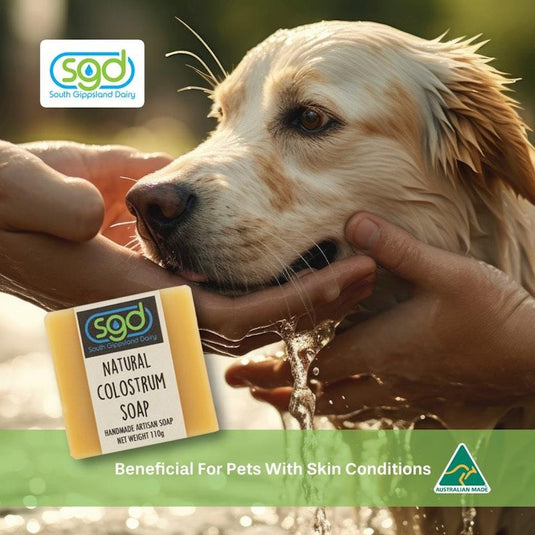 SGD Natural Colostrum Soap 110g 3Pack