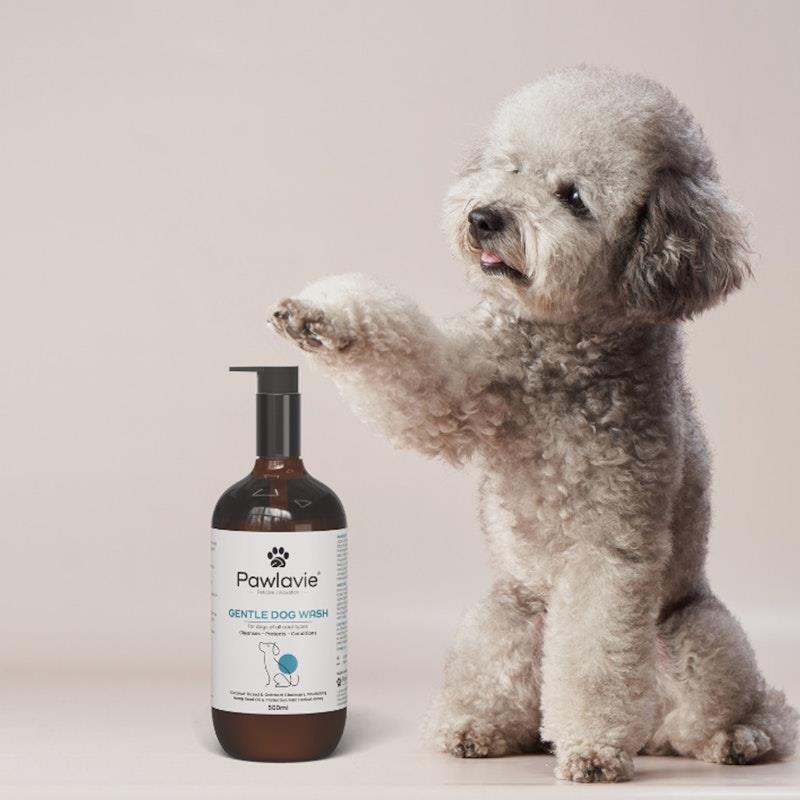 Load image into Gallery viewer, Pawlavie Gentle Dog Wash - For dogs of all coat types 500ml
