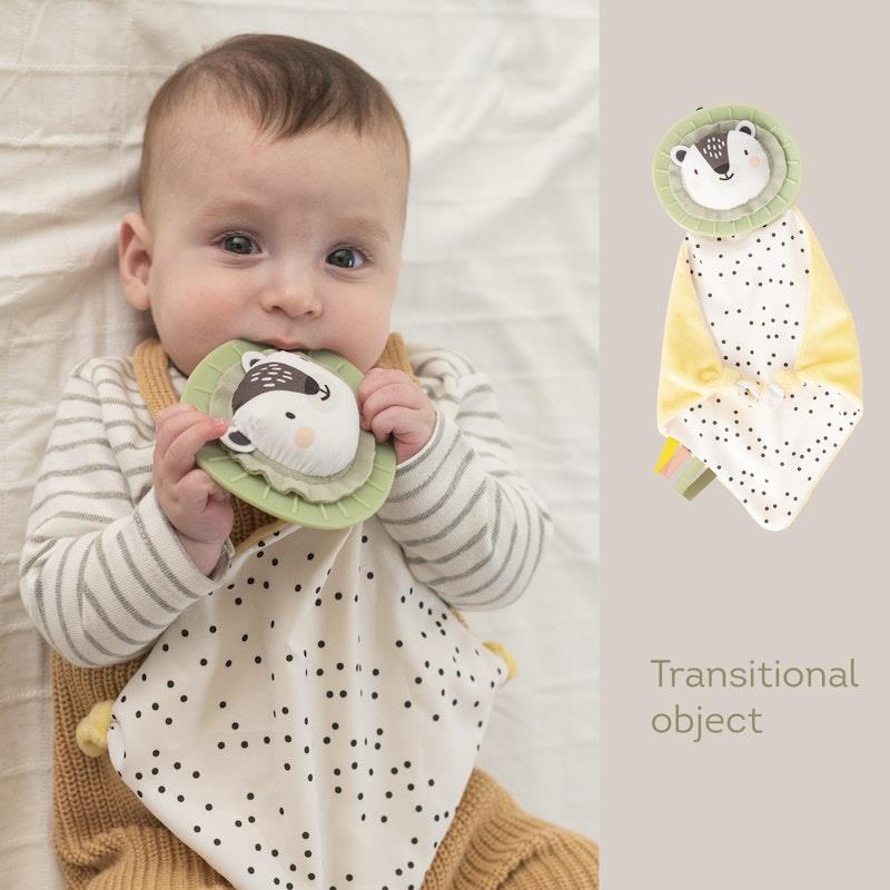 Load image into Gallery viewer, Taf Toys Newborn Develop&amp; Play Kit
