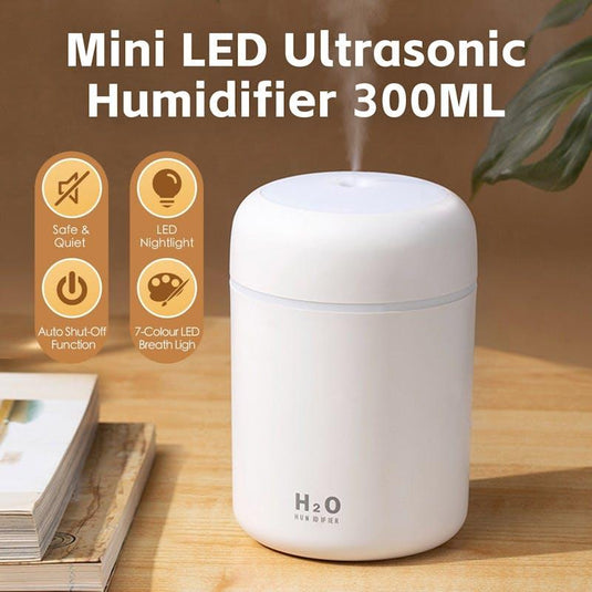 Living Today Mini LED Ultrasonic Humidifier 300ML 1Unit