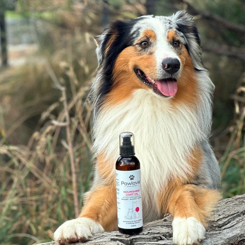 Load image into Gallery viewer, Pawlavie Nourishing Coat Oil - For long-haired dogs &amp; cats 225ml

