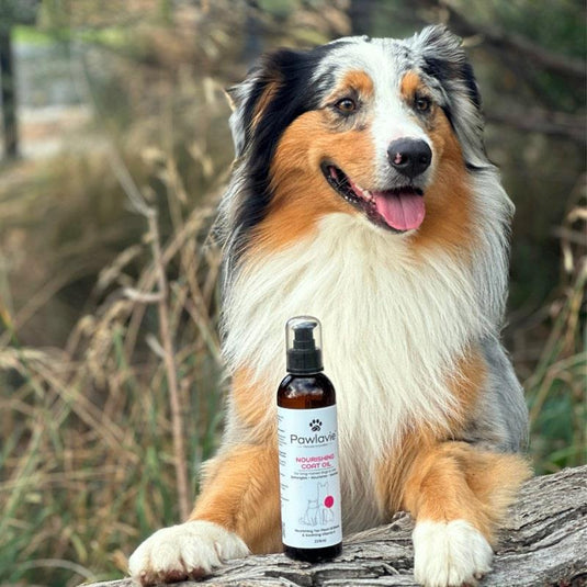 Pawlavie Nourishing Coat Oil - For long-haired dogs & cats 225ml