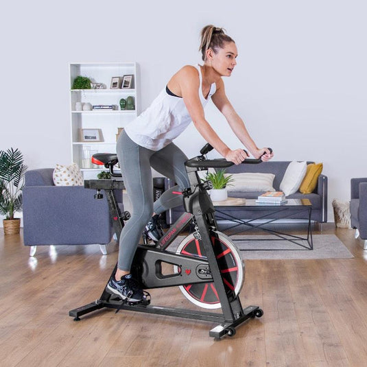 Lifespan Fitness SP310 (M2)  Spin Bike One Size