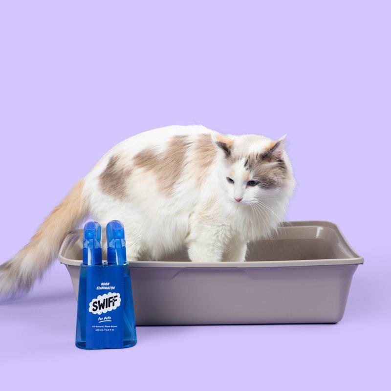 Load image into Gallery viewer, SWIFF For Pets Bottle + Refill Bundle Kit
