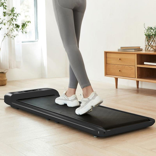 Lifespan Fitness WalkingPad™ M2 Treadmill One Size
